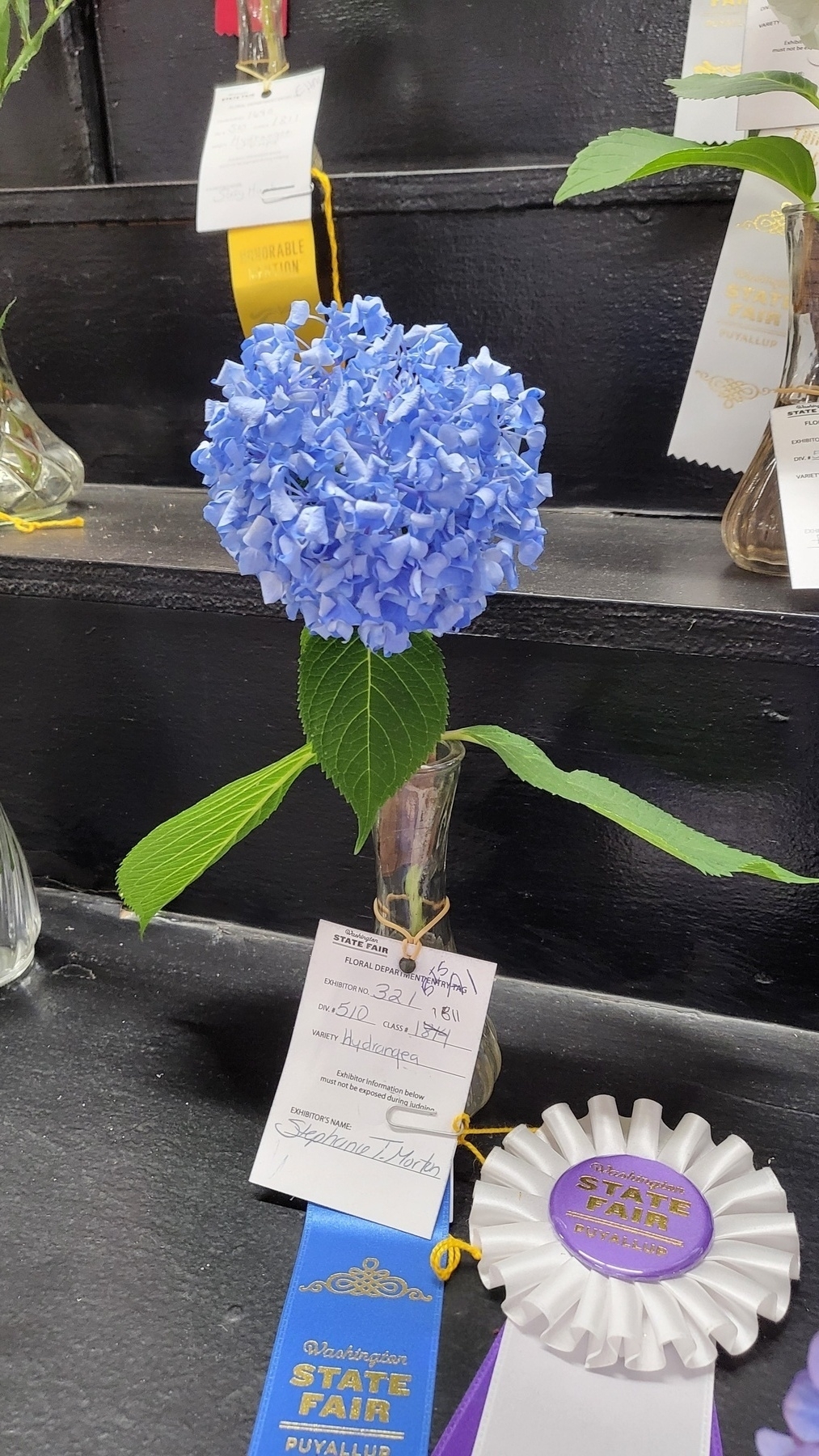 An almost perfectly spherical blue flower with two picturesque leaves poking out either side of the stem