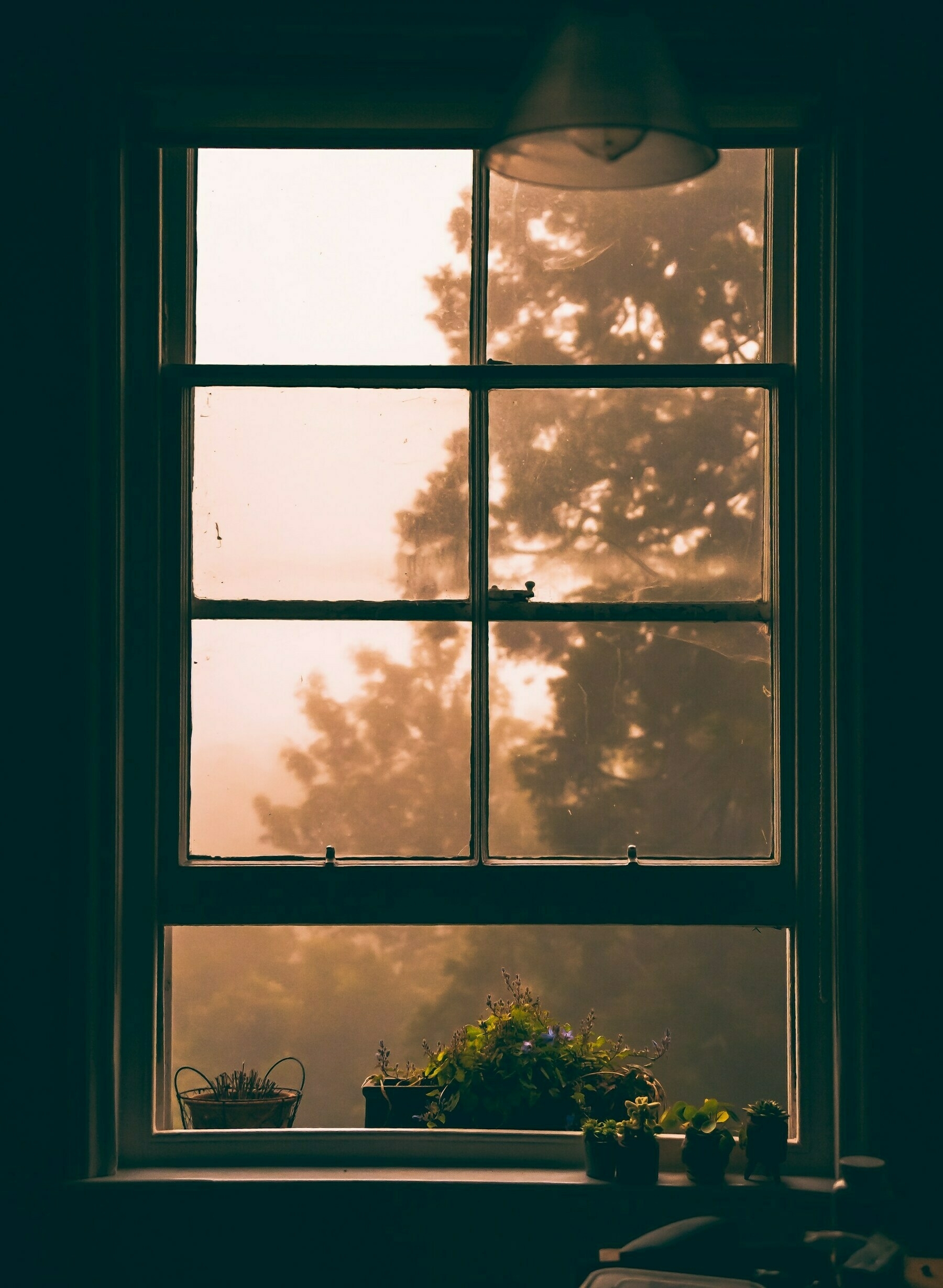 A wistful, hazy view out the window of a dark room. Cinematic.